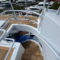 Teak Deck